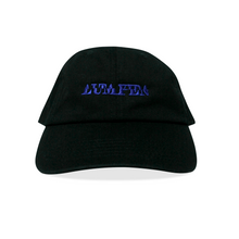 Cargar imagen en el visor de la galería, AVL 6 PANEL CAP
